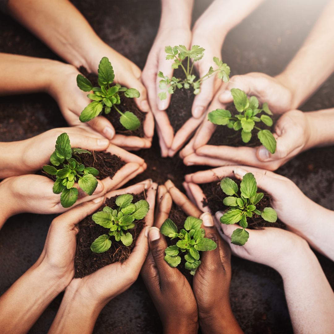 Multiple hands holding small plants in soil in their palm's signaling nurturing talent in proactive recruitment