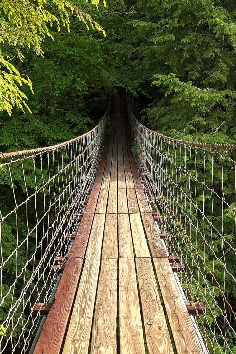 A wooden suspension bridge crossing a forest canopy, representing the transition bridge in military to sales leadership.